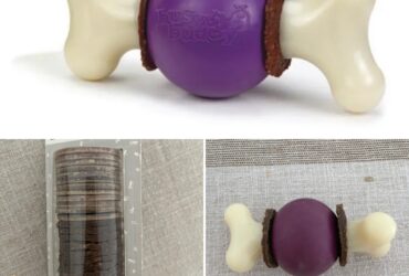 Jouet os avec friandises pour chien