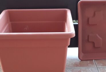 Pots de fleurs