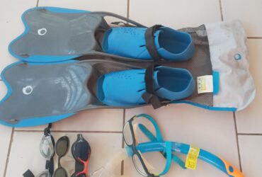 Ensemble Palmes et Lunettes