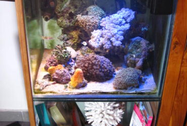 Aquarium