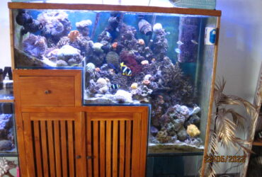 Aquarium