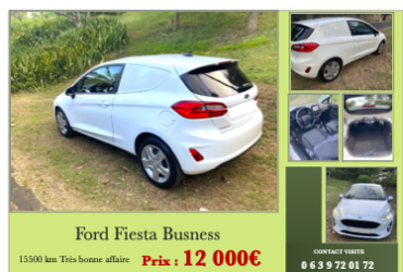 FORD Fiesta Busness
