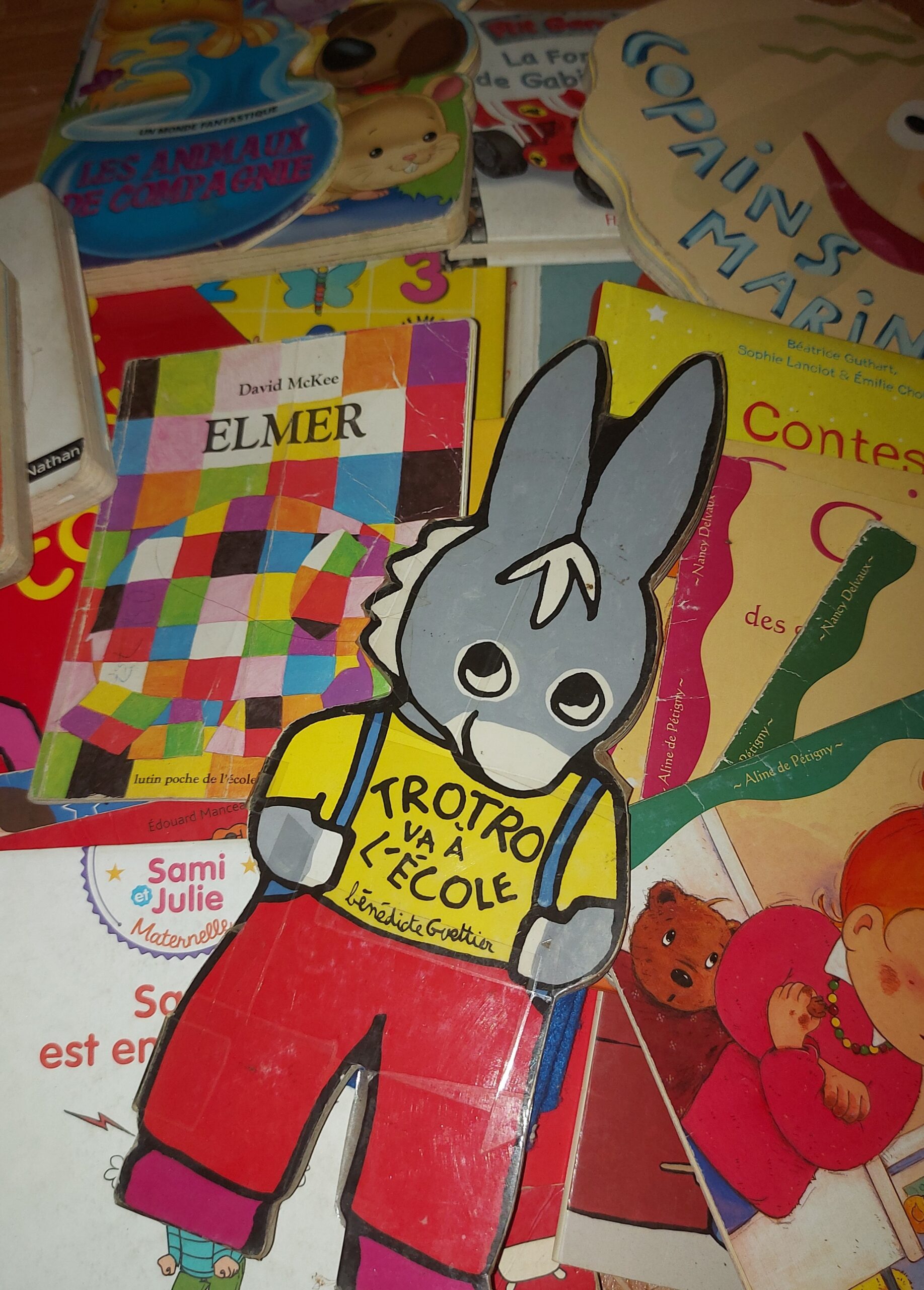 Livres enfants Petite Terre