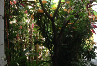 Grande maison t4 meublée petite terre