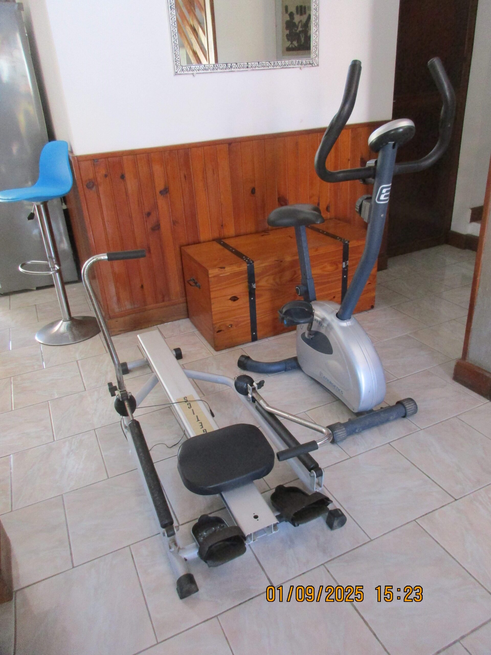 VELO et RAMEUR d' appart.