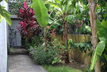 Logement petite terre