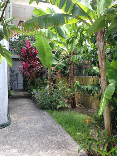 Logement petite terre